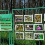Эко-акция в урочище Черепаха