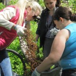 Эко-акция в урочище Черепаха