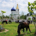 Выезд в Красный Десант