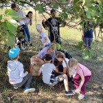 Долгожданная встреча